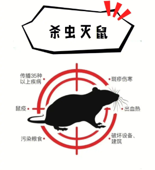  酒店业蟑螂防治方案