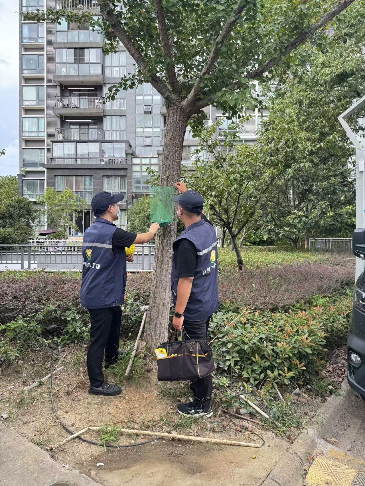 消杀图片
