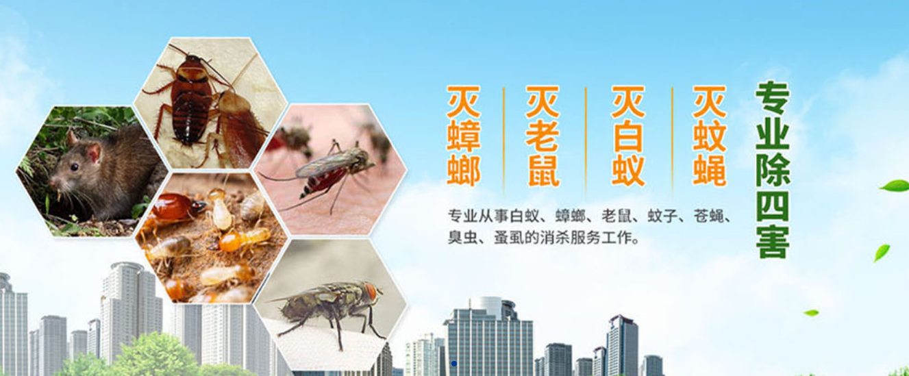 专业消杀公司具备什么条件？